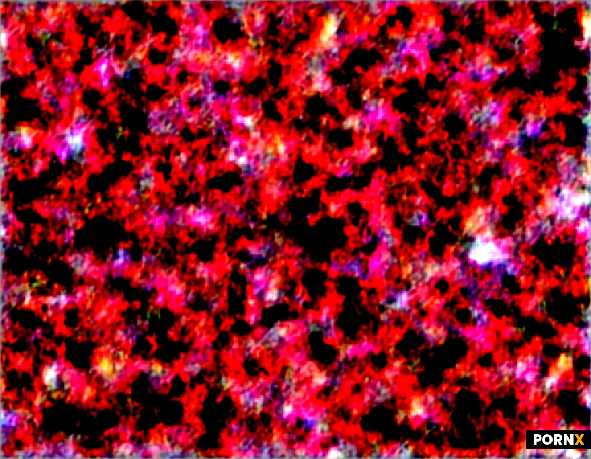 Image 24bb40f4-ccee-4da4-87c0-4ed42cb67c2f-u1