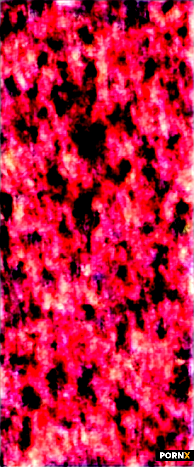 Image 335605ba-9b84-46f0-b3e8-c947e1dd29e4
