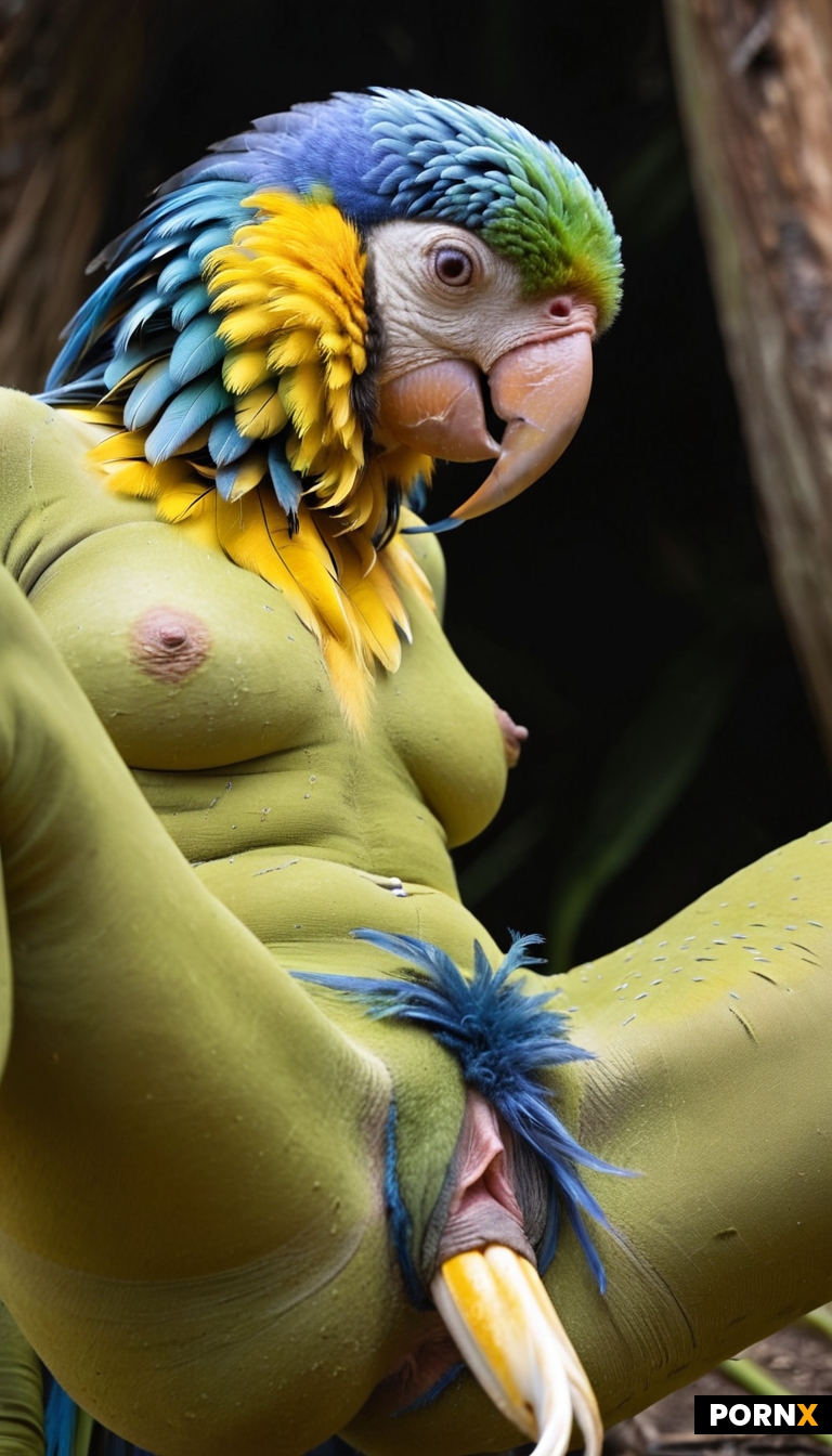 national geographic photograph of attractive humanoid bird_creature fauna