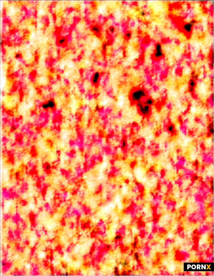 Image c2c25886-2776-452d-a9ed-fb238eed8e3c