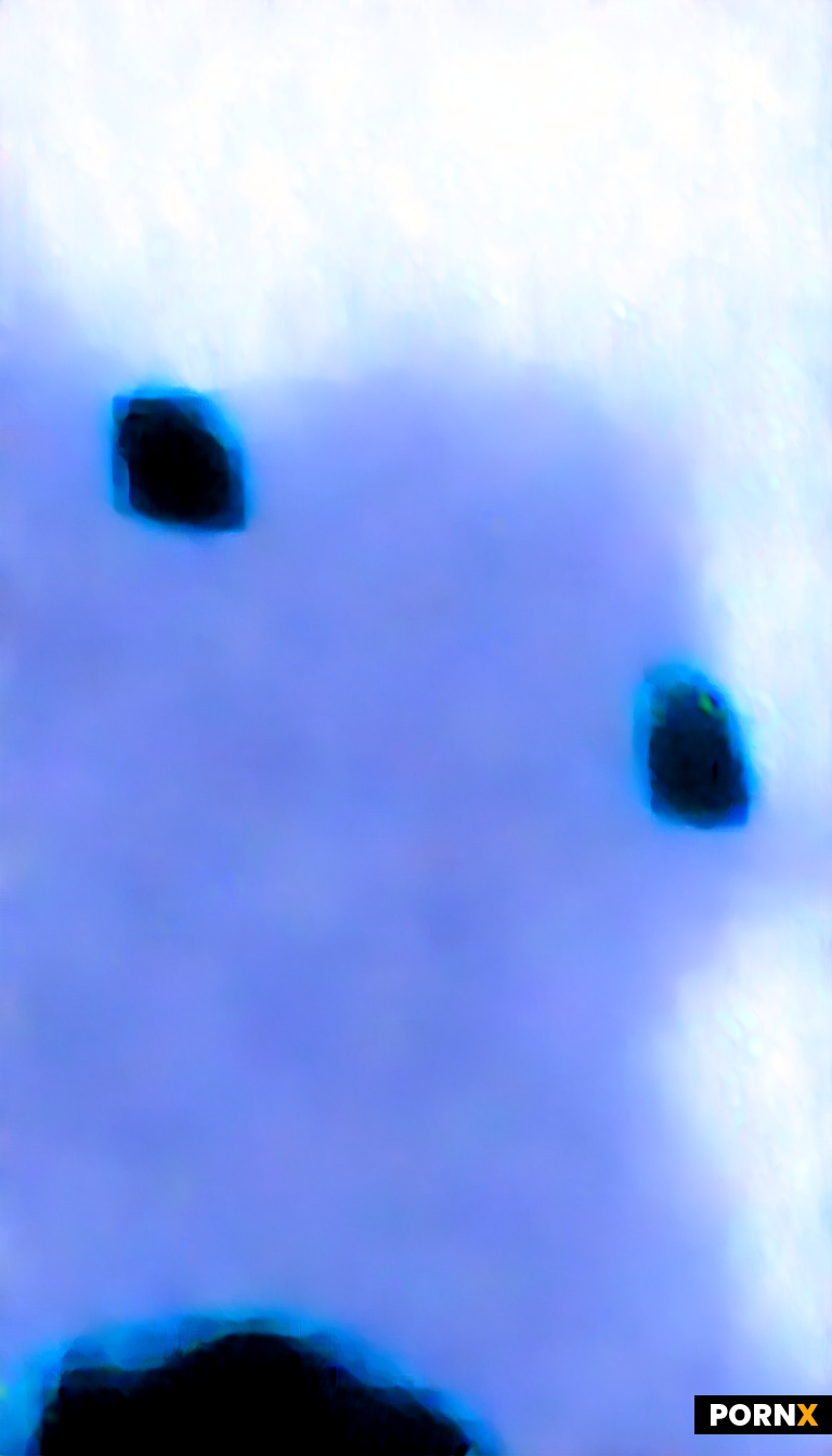 Image e9ed3297-4598-47ca-b733-2eb10f25dceb-u2