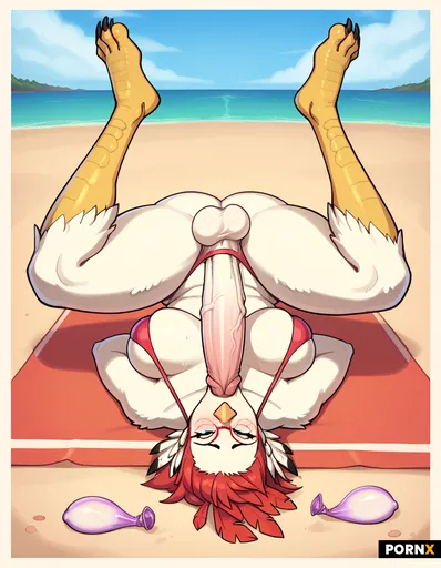 seagull anthro